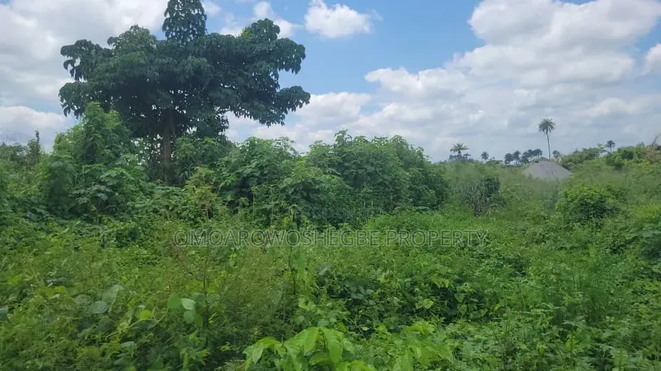 12 Plots Together for Lease