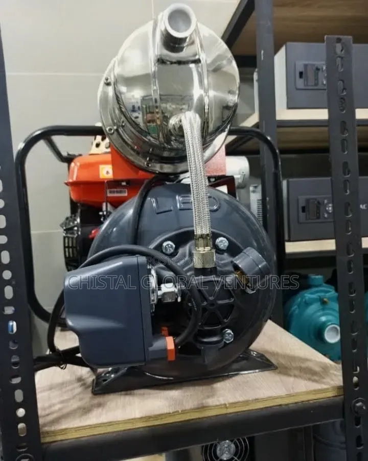 Leo 1.5HP Boaster Pump