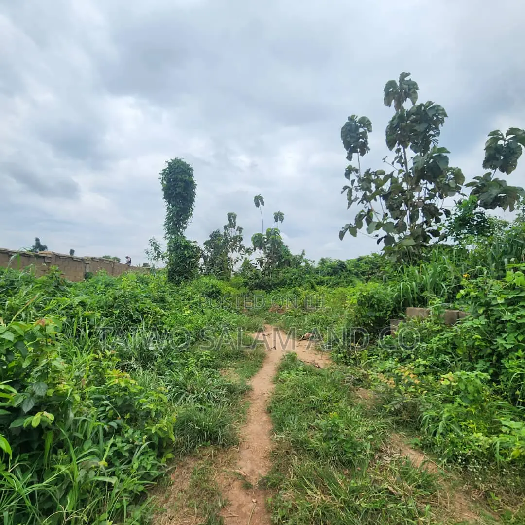 5.3acres Land With CofO