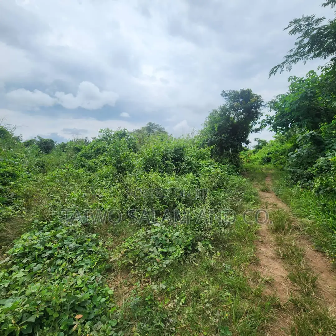 5.3acres Land With CofO