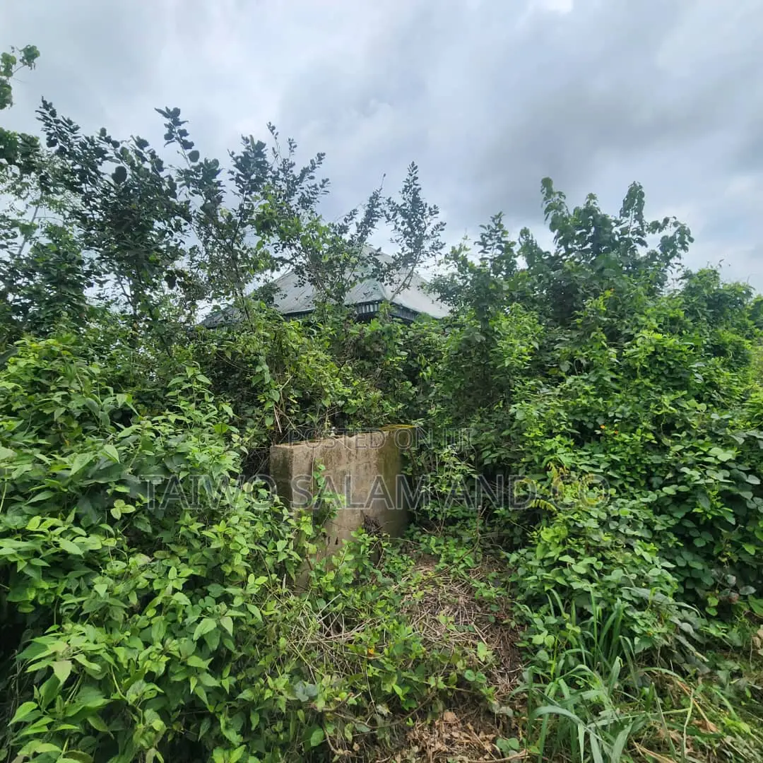 5.3acres Land With CofO