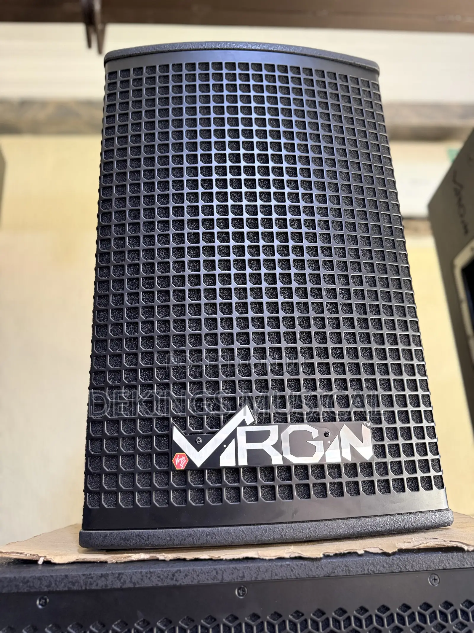 Virgin Active Speaker PLX 12A