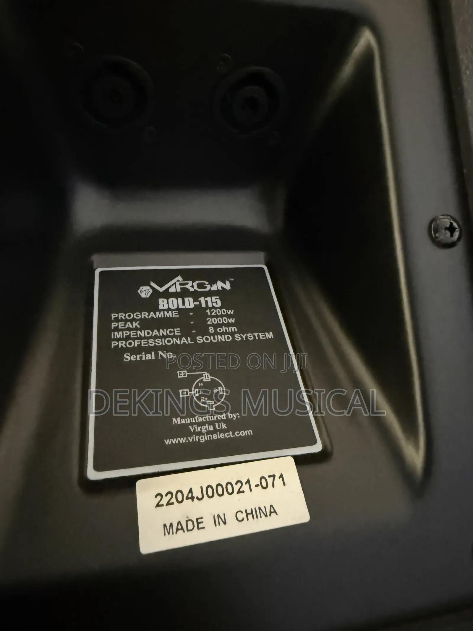 Virgin Speaker Bold 115 Hanging 15inch Speaker