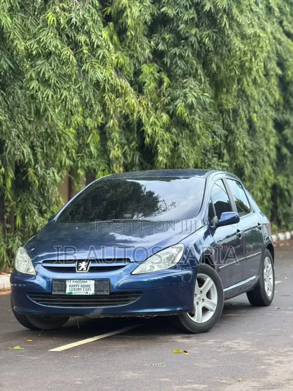 Peugeot 307 2005 Green