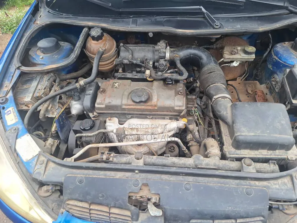 Peugeot 206 2005 Blue