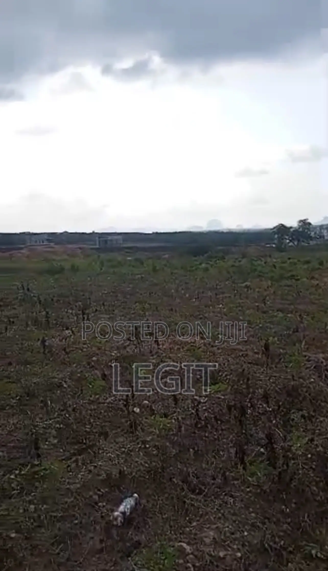 138 Hectares R of O Handy