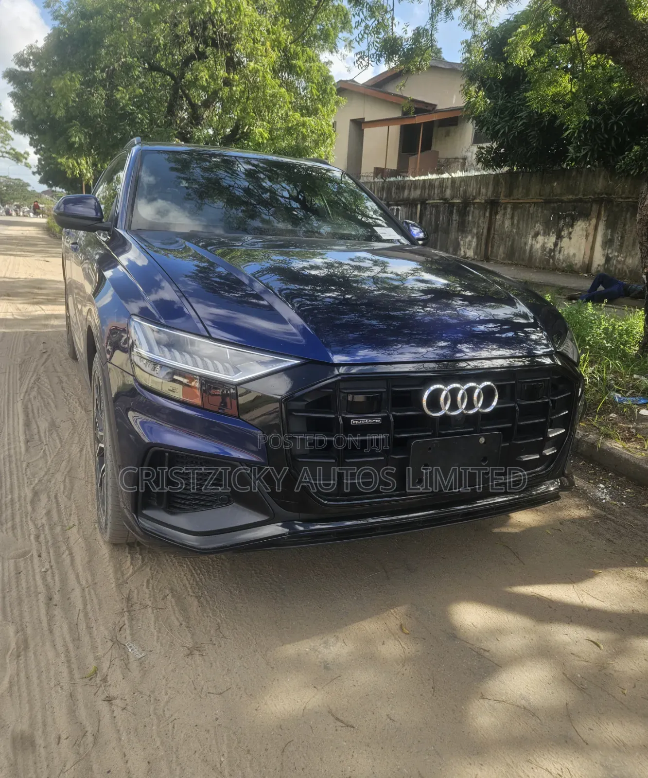 Audi Q8 2022 Blue
