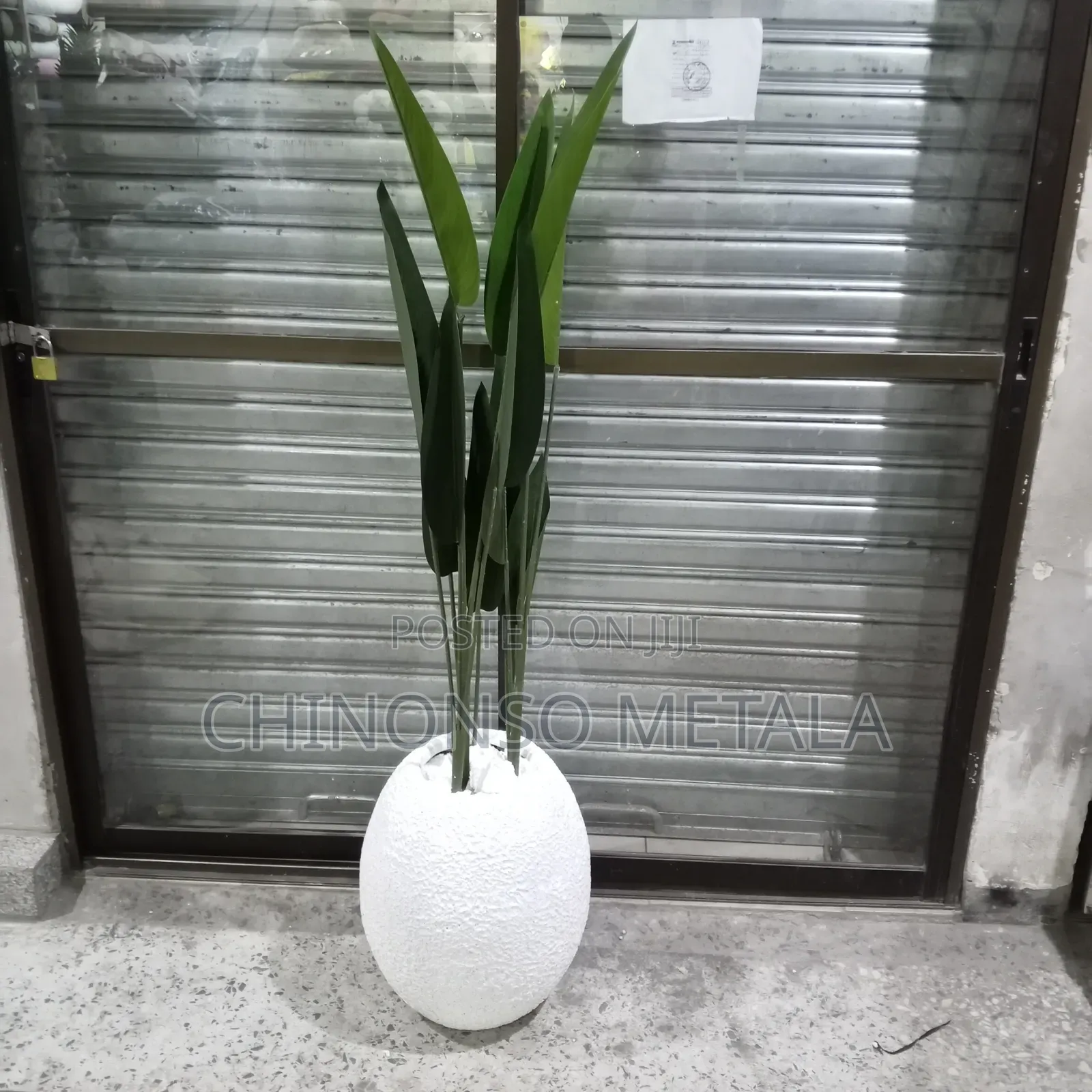 Nordic Ceramic Pot and Eucalyptus Plant