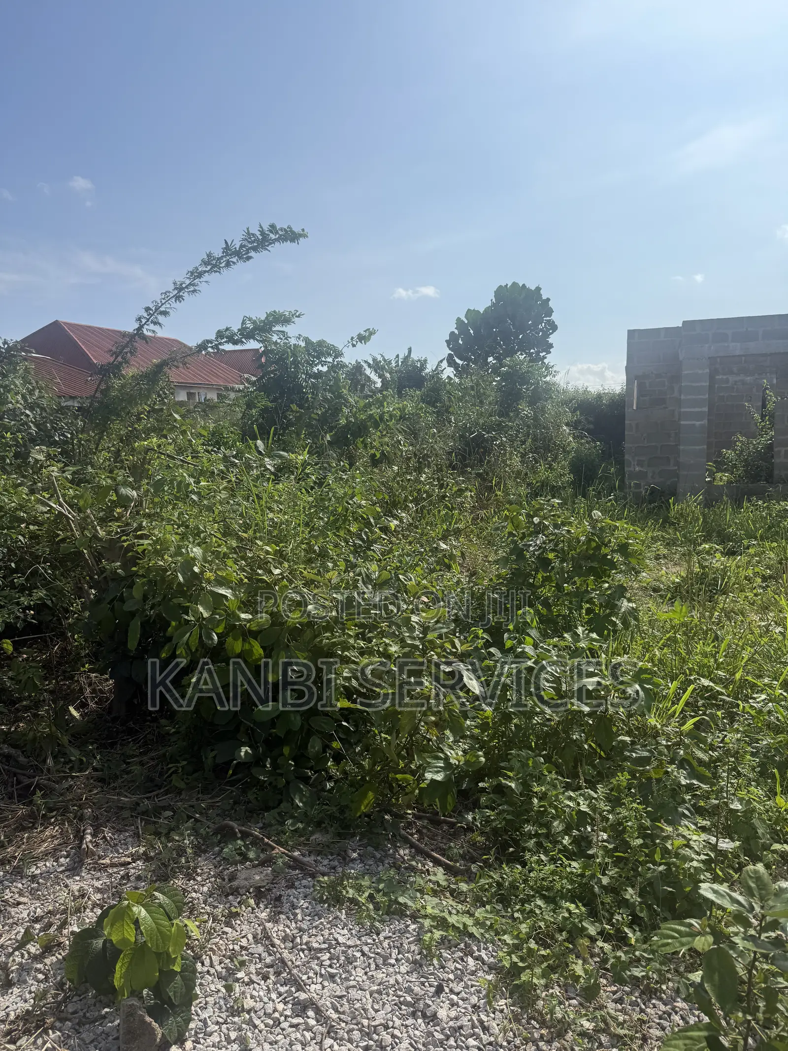 Half Plot of Land Available at Elepe