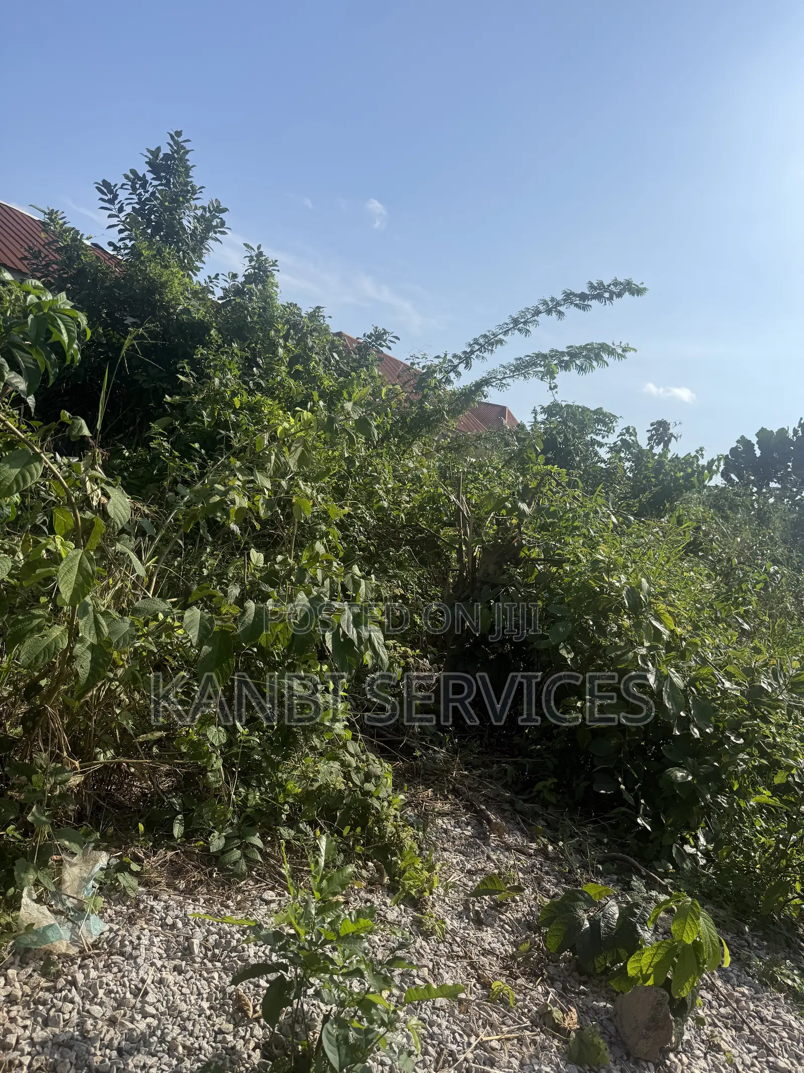 Half Plot of Land Available at Elepe