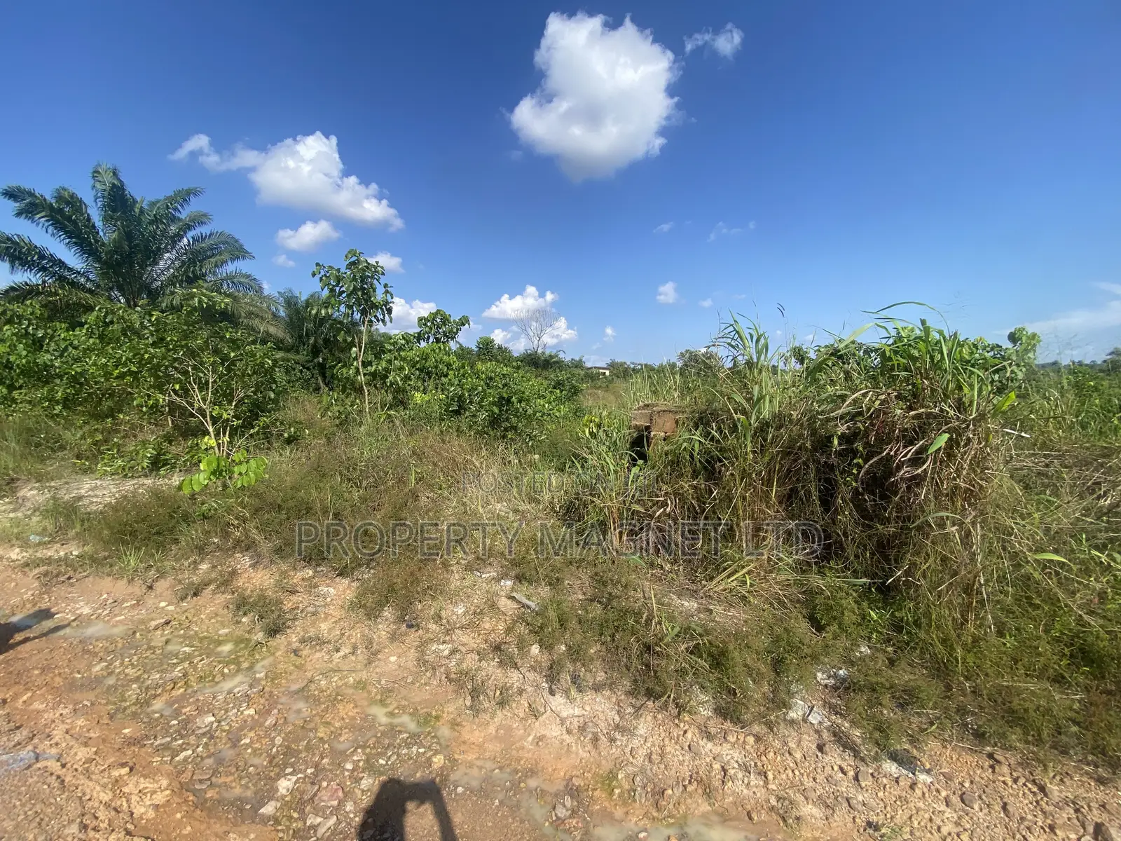 2 Plots of Land for Sale at OHYIA
