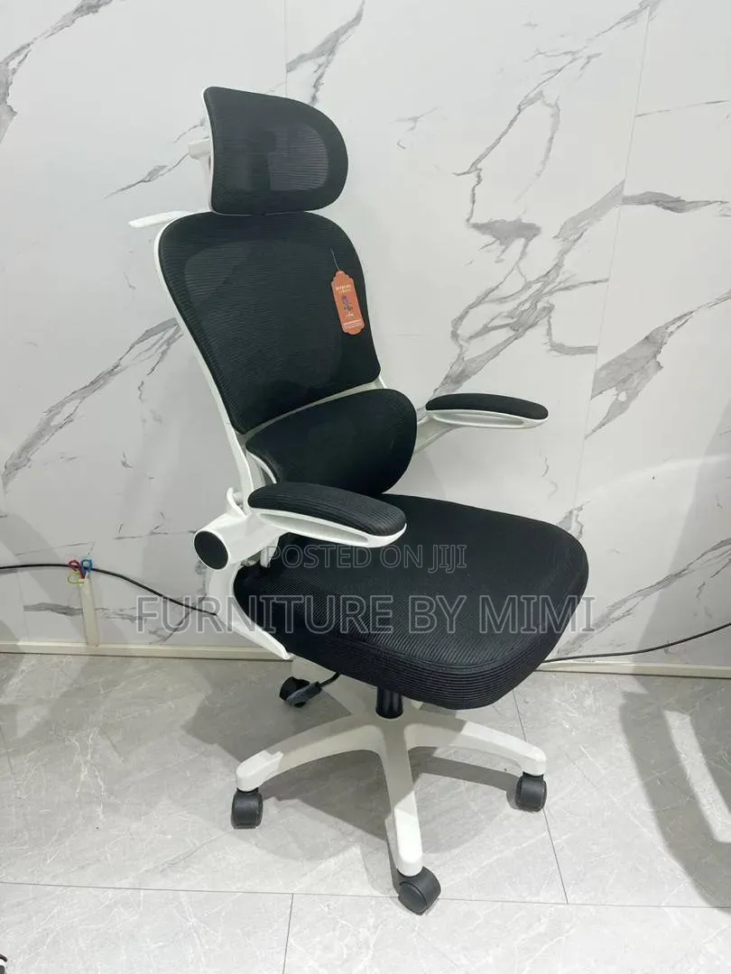 Premium Ergonomic High-Back Mesh Office Chair