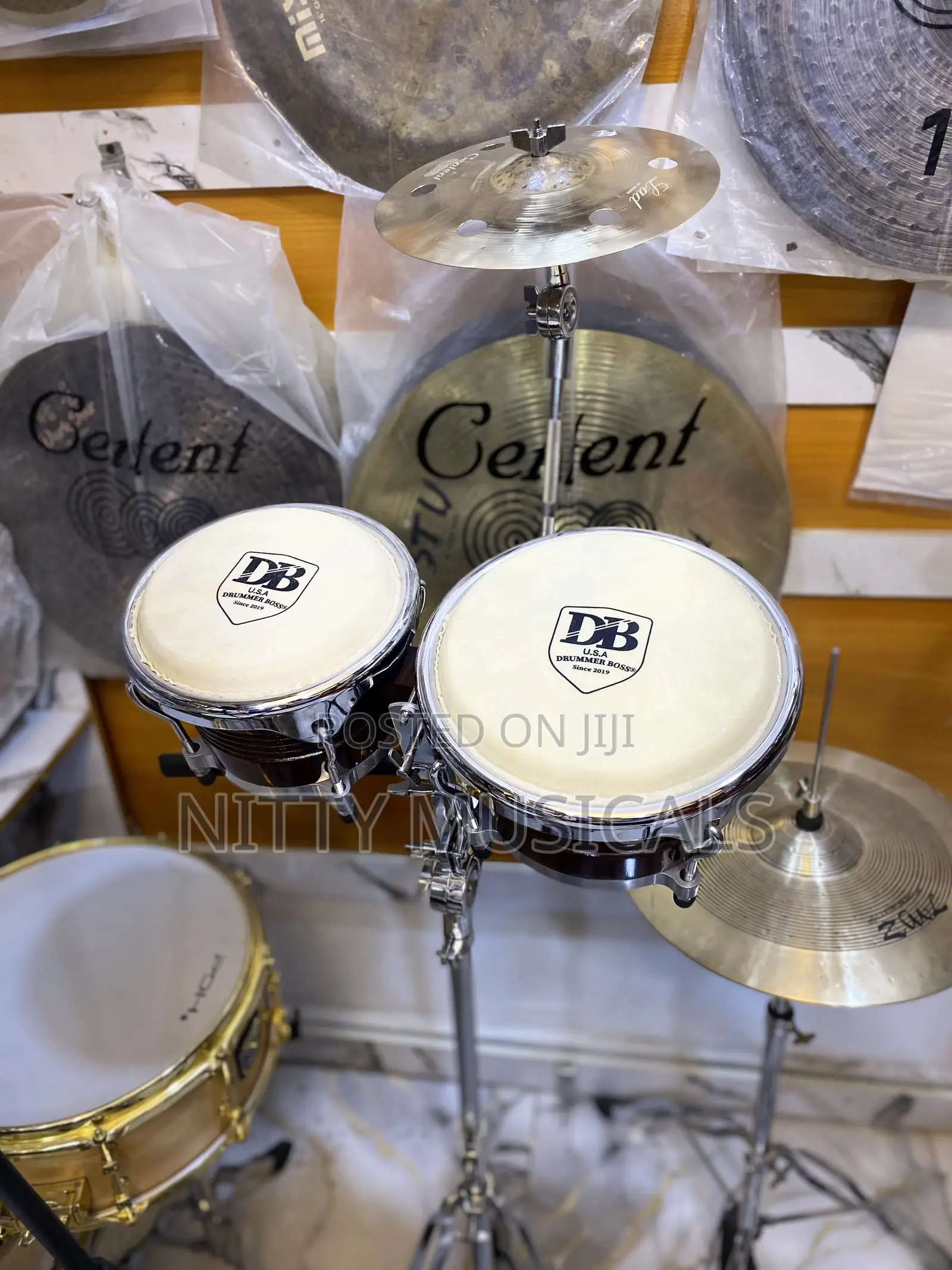 DB Bongo Drum Big Size