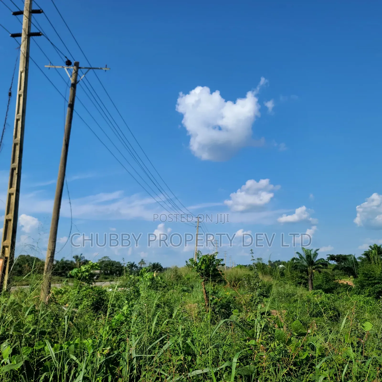 Plots of Land