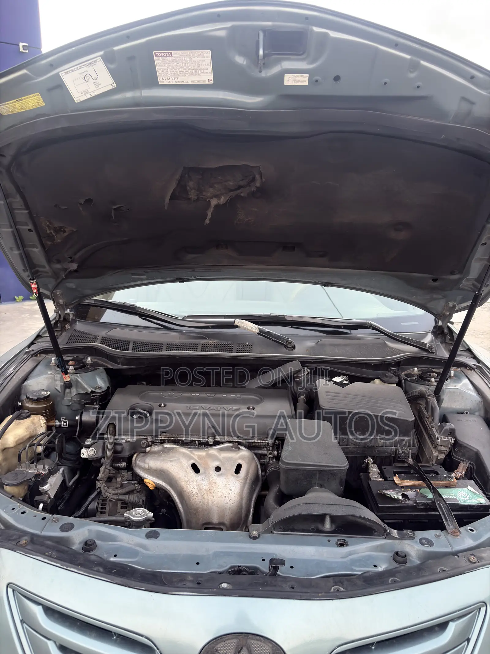 Toyota Camry LE 4dr Sedan (2.4L 4cyl 5A) 2007 Green