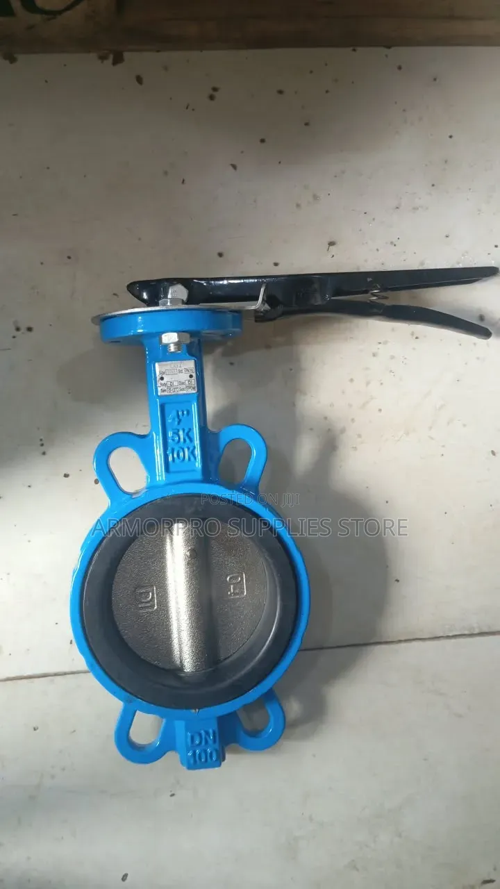 4-Inch (DN 100) Lever-Operated