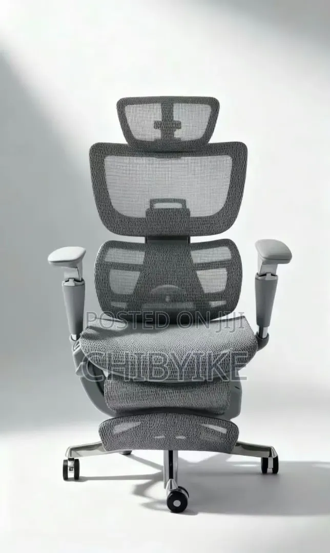 Luxury Ergonomic Office Chair With Footrest - Reclines to Bed - Mesh