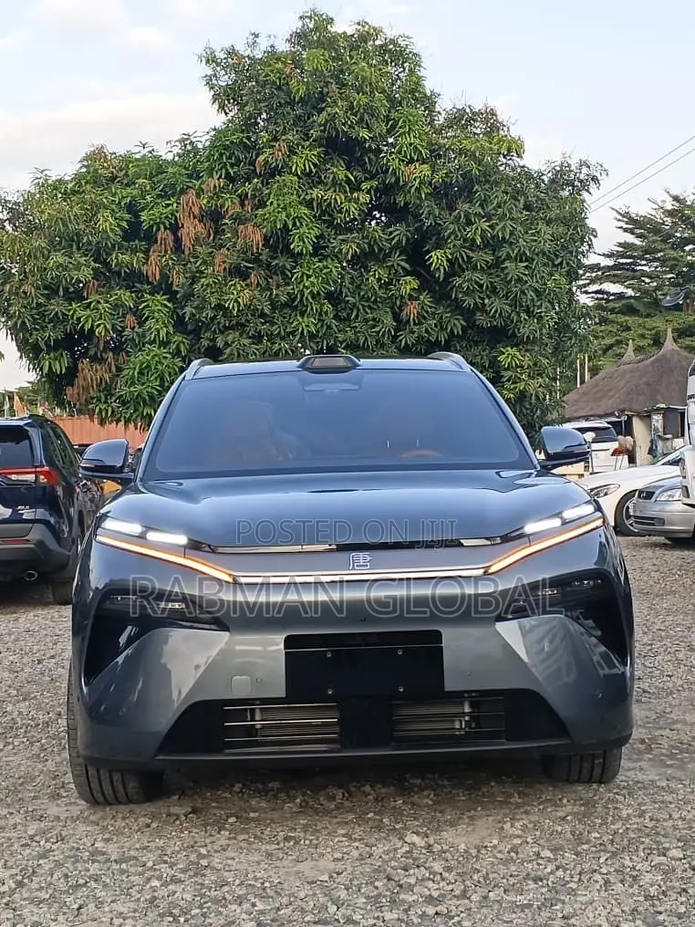 BYD Tang EV 2025 Gray