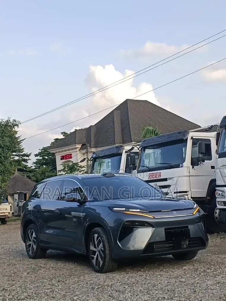 BYD Tang EV 2025 Gray