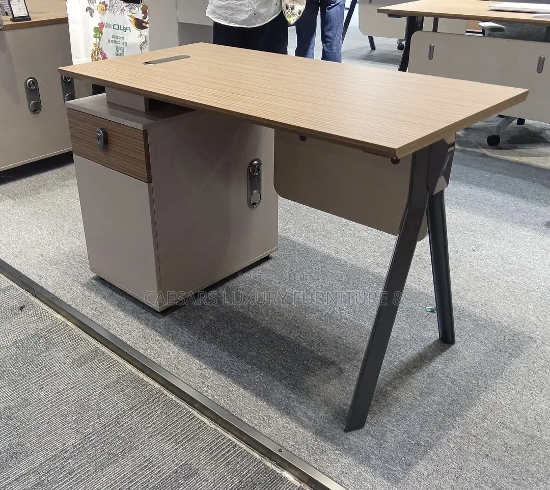 Modern Executive Office Desk With Storage Cabinet