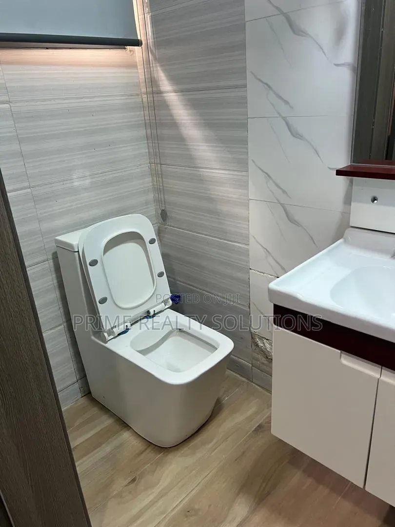 Furnished Mini Flat in Banana Island for rent