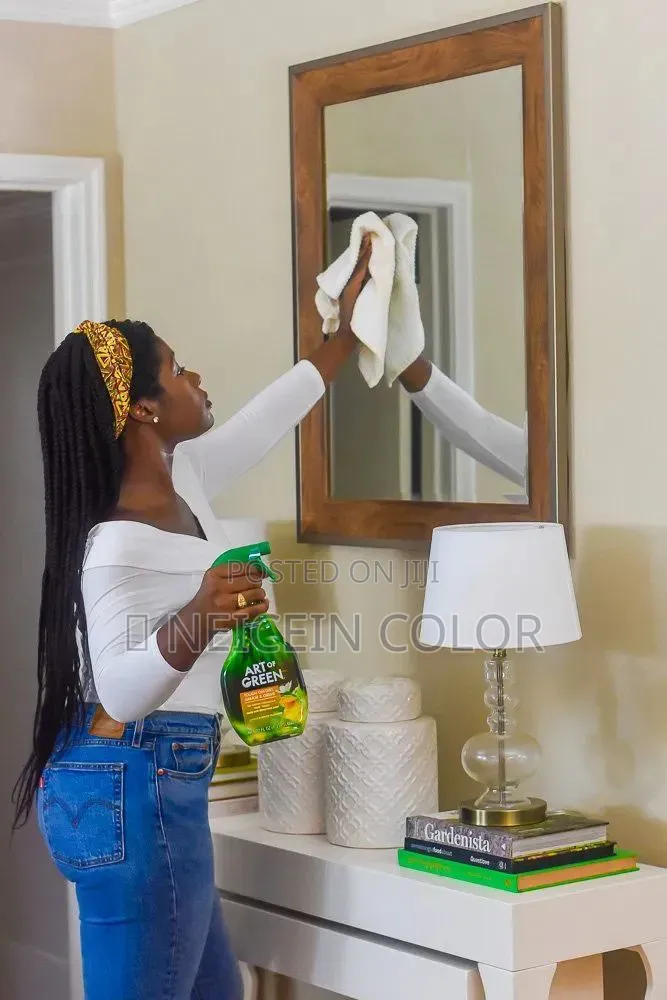 Cleaning Service Abuja