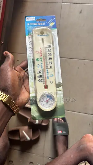 Anymeters Wall-Mount Thermometer & Hygrometer