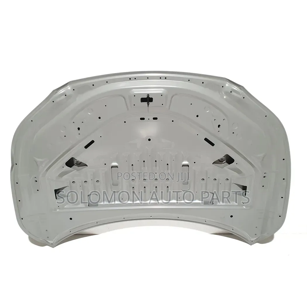 Rx350 2023 2024 2025 Bonnet Mat