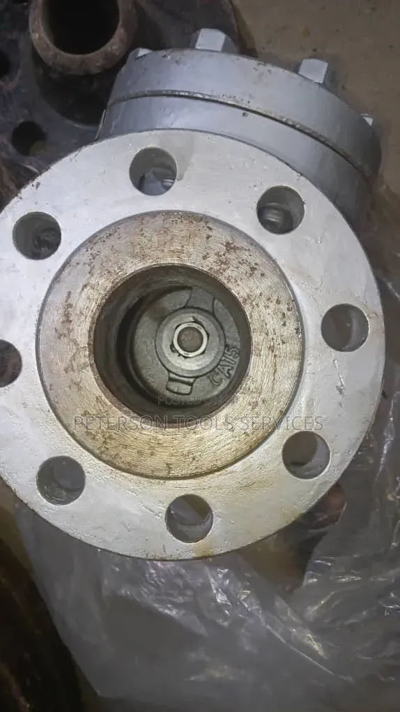 3x300 Check Valve