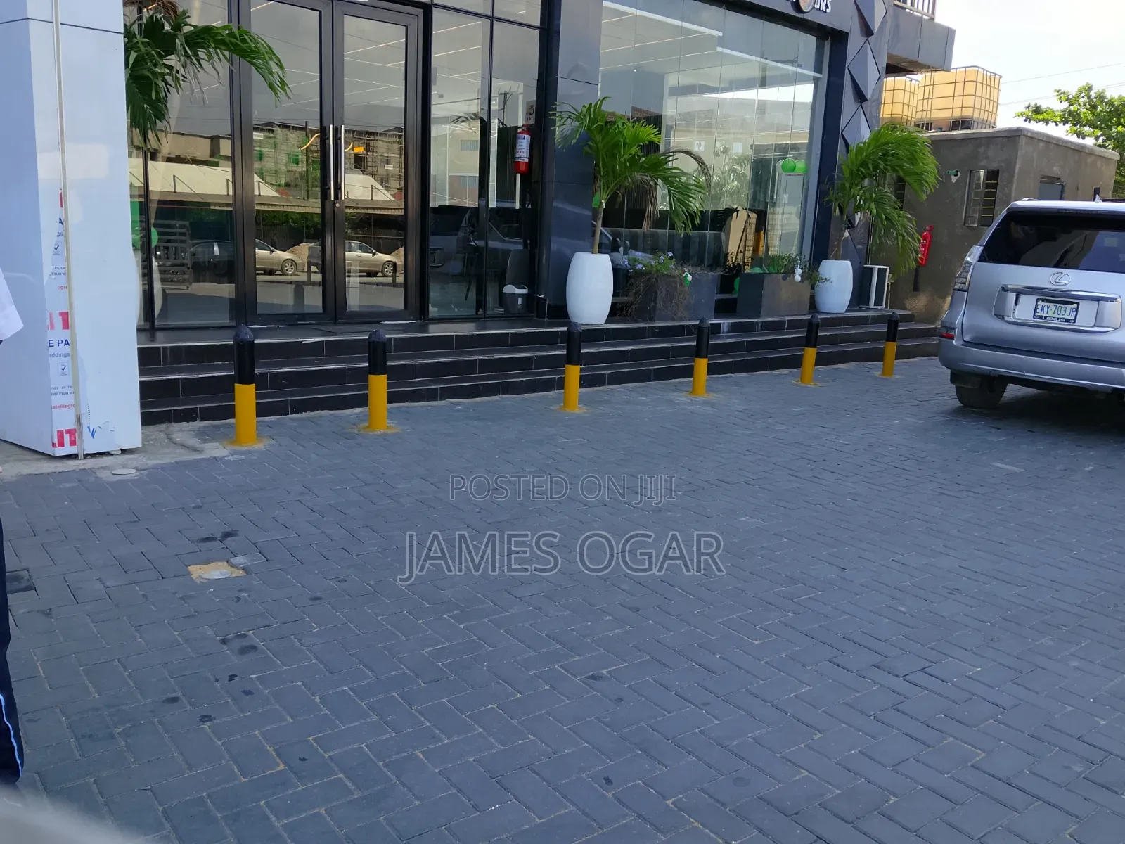 Shop Orchid for Rent
