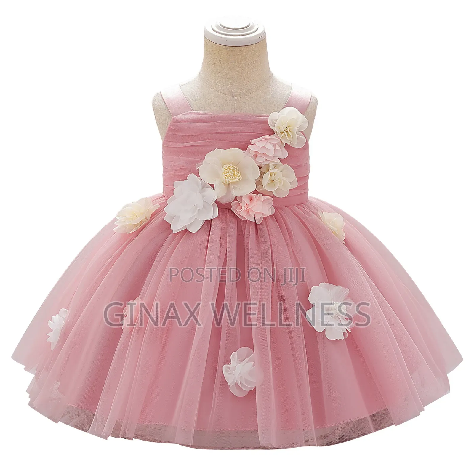 Baby Girls Floral Princess Party Dress With 3D Flowers (0-12 Months)