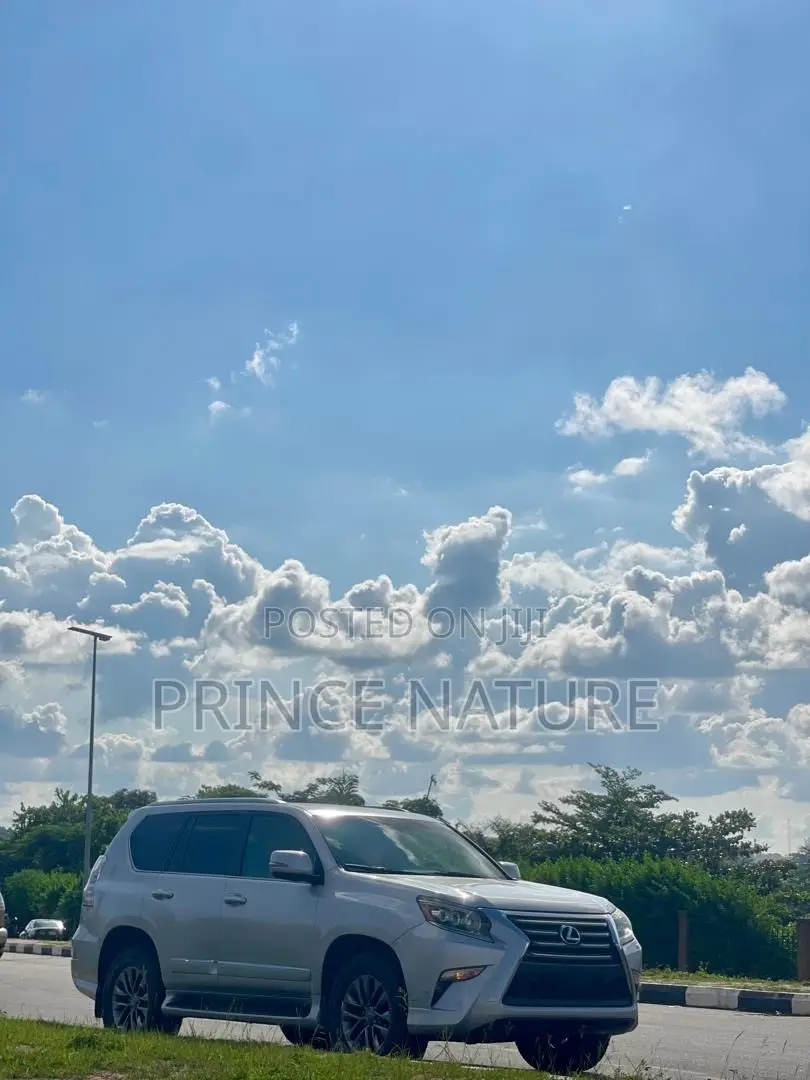 Lexus GX 460 Luxury 2014 Silver