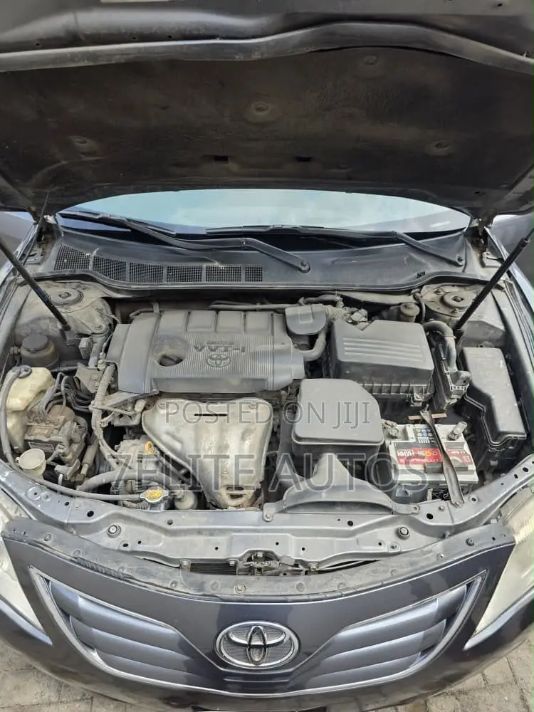 Toyota Camry 2010 Gray