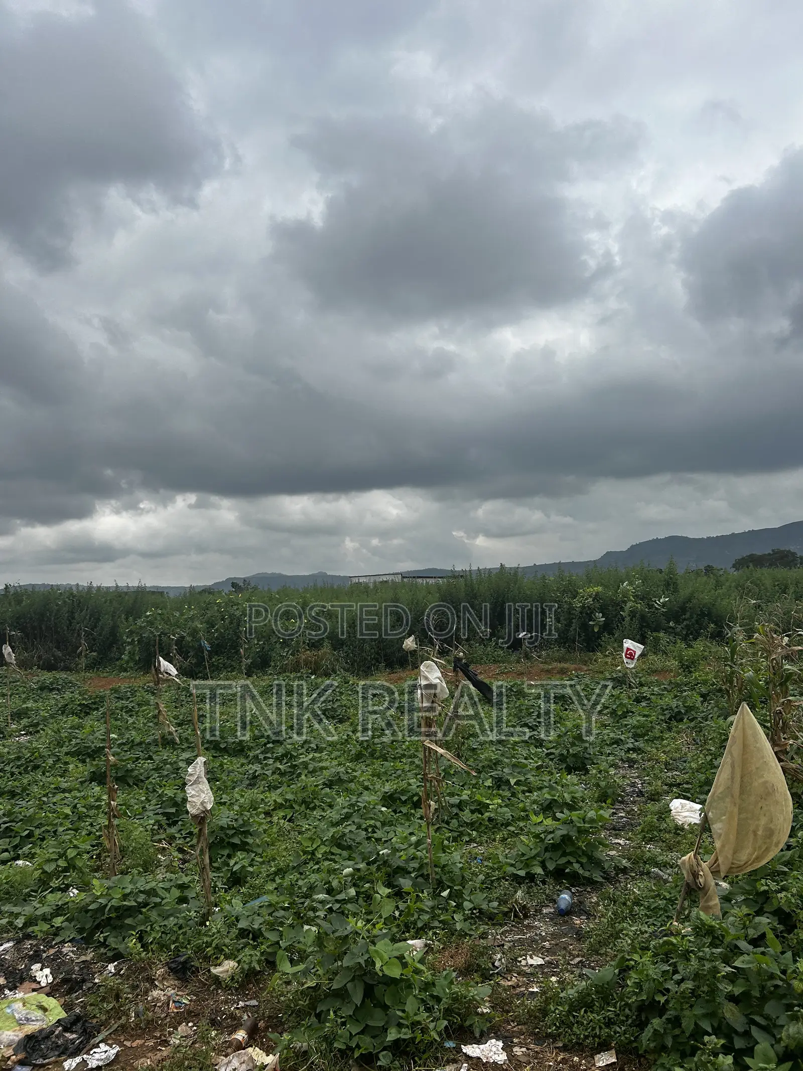 Plot of Land for Sale