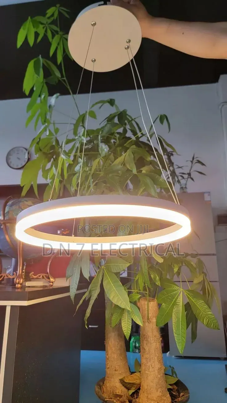 Modern Single LED Pendant Light