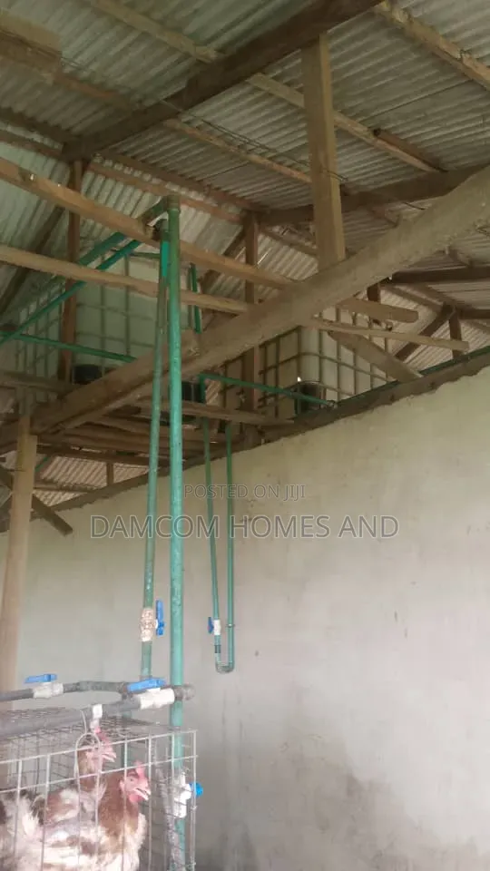 Poultry Farm for Sale