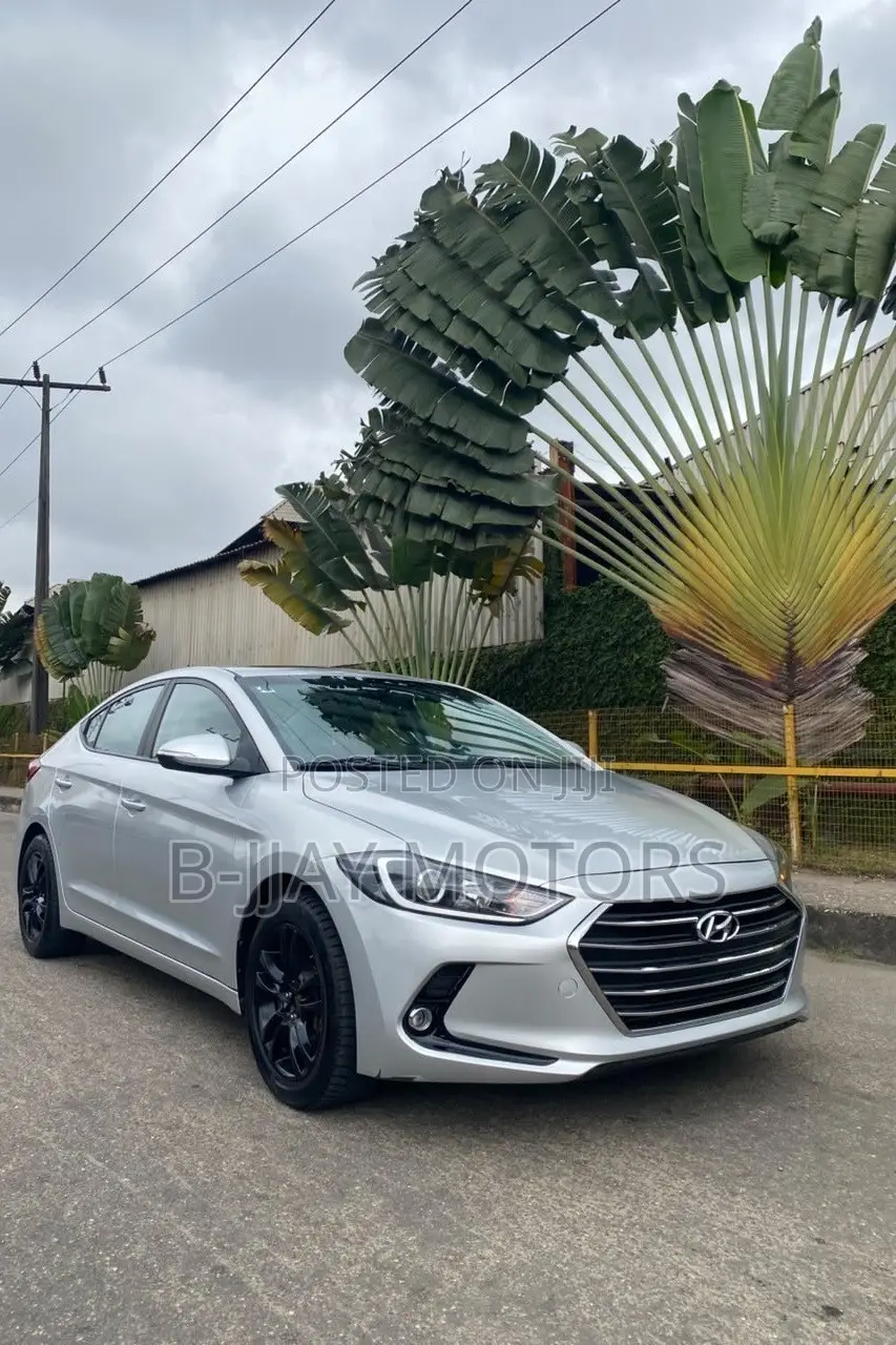 Hyundai Elantra ECO 2018 Silver