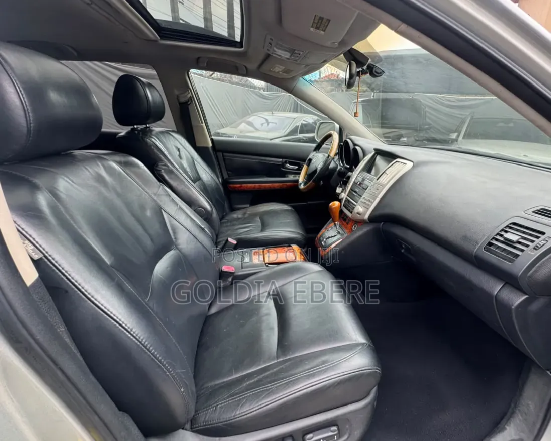 Lexus RX 2006 Gray