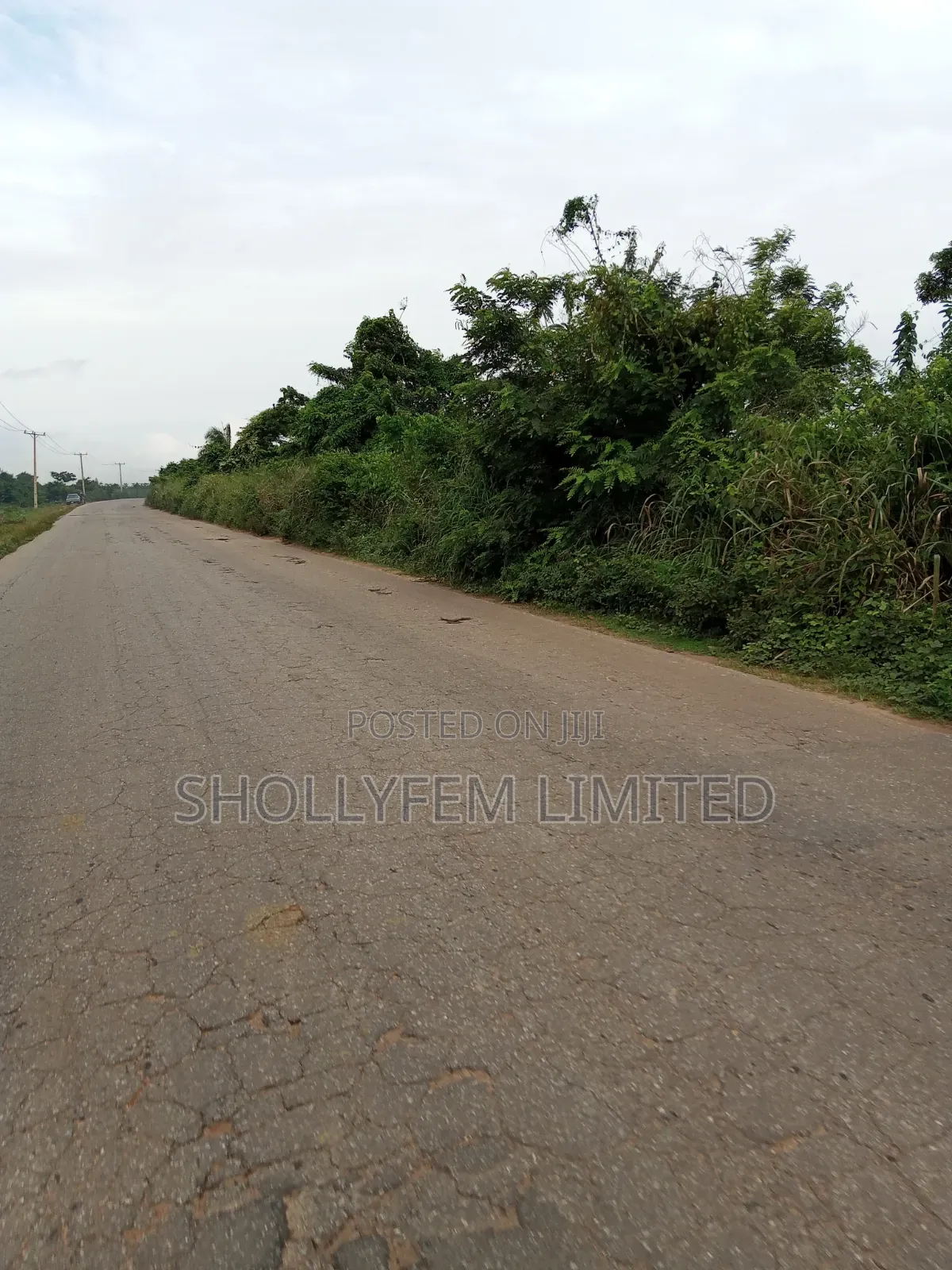 20 Acres Farm Land for Sale in Owode Ilaro Road