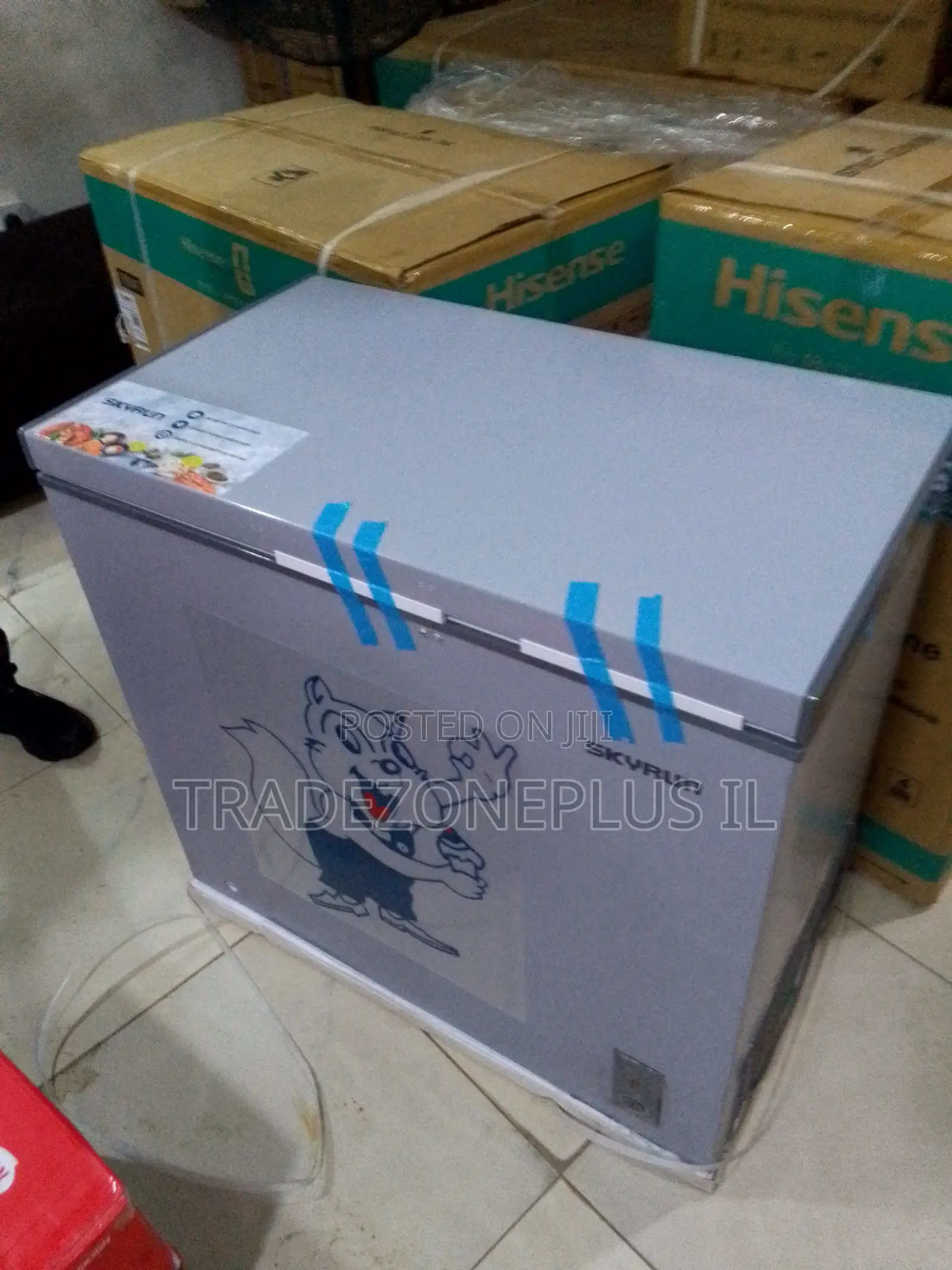 SkyRun BD250AI Large Capacity Deep Freezer
