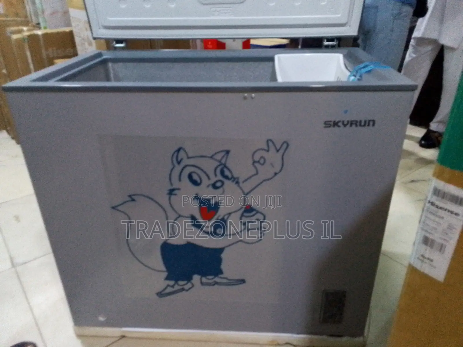 SkyRun BD-250AI Cold Storage Freezer