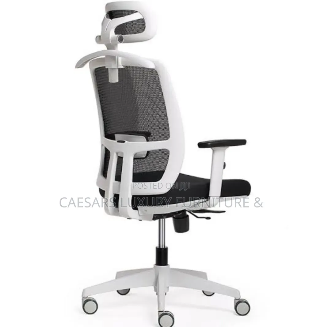 High Back Ergonomic Mesh Office Chair With Head Rest