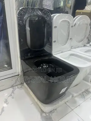 Black Conceal Wc