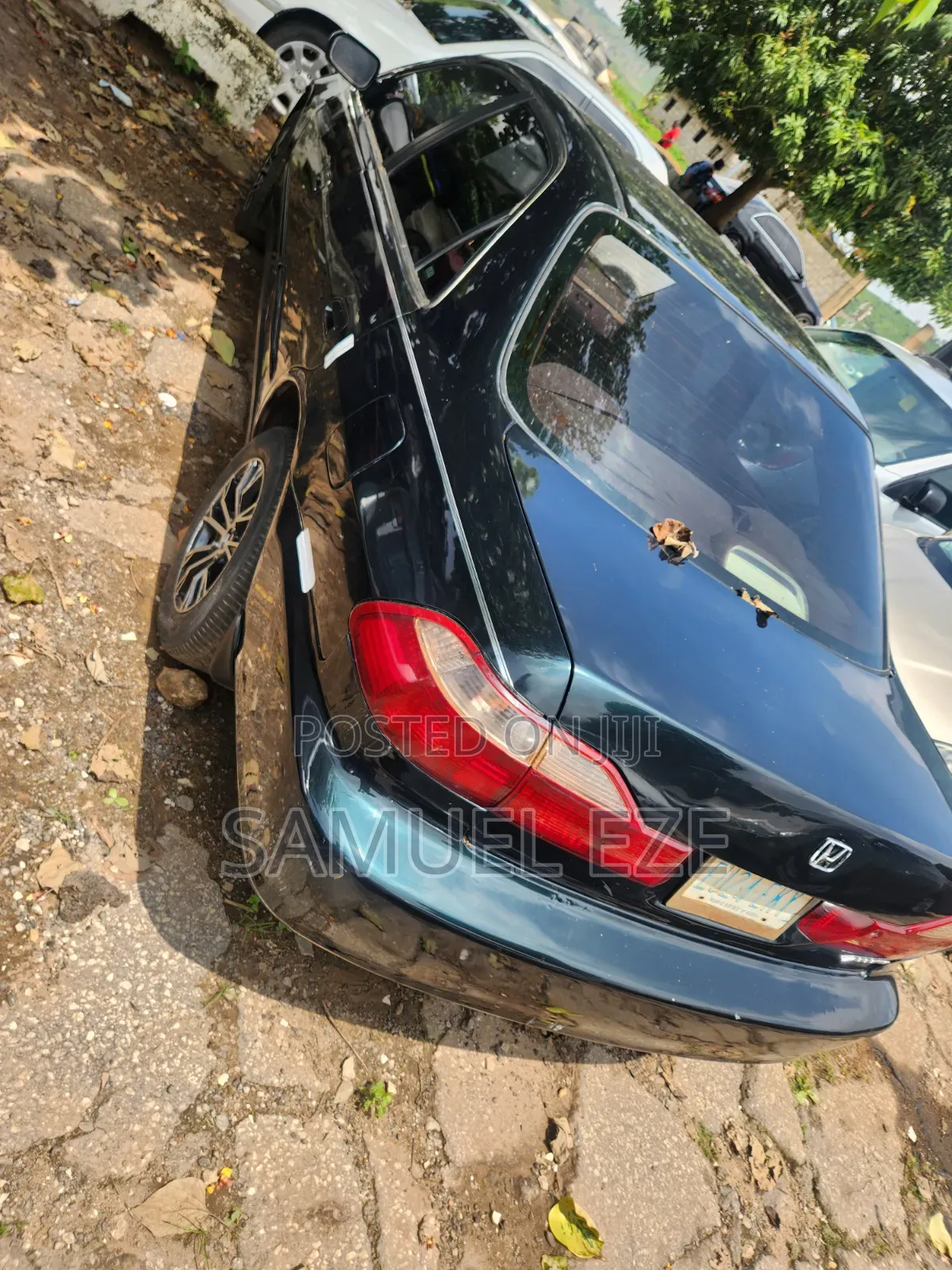 Honda Accord 1998 Green