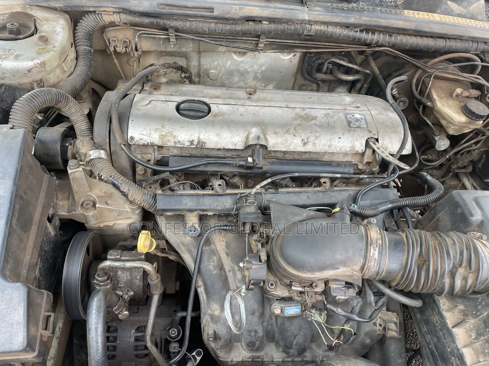 Peugeot 406 2009 Silver