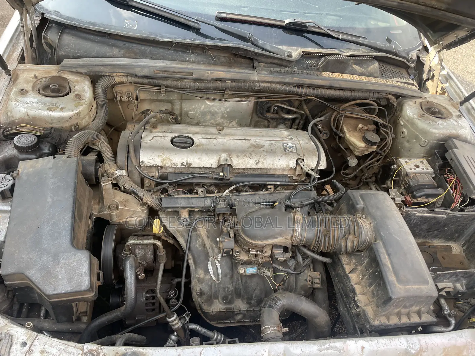 Peugeot 406 2009 Silver