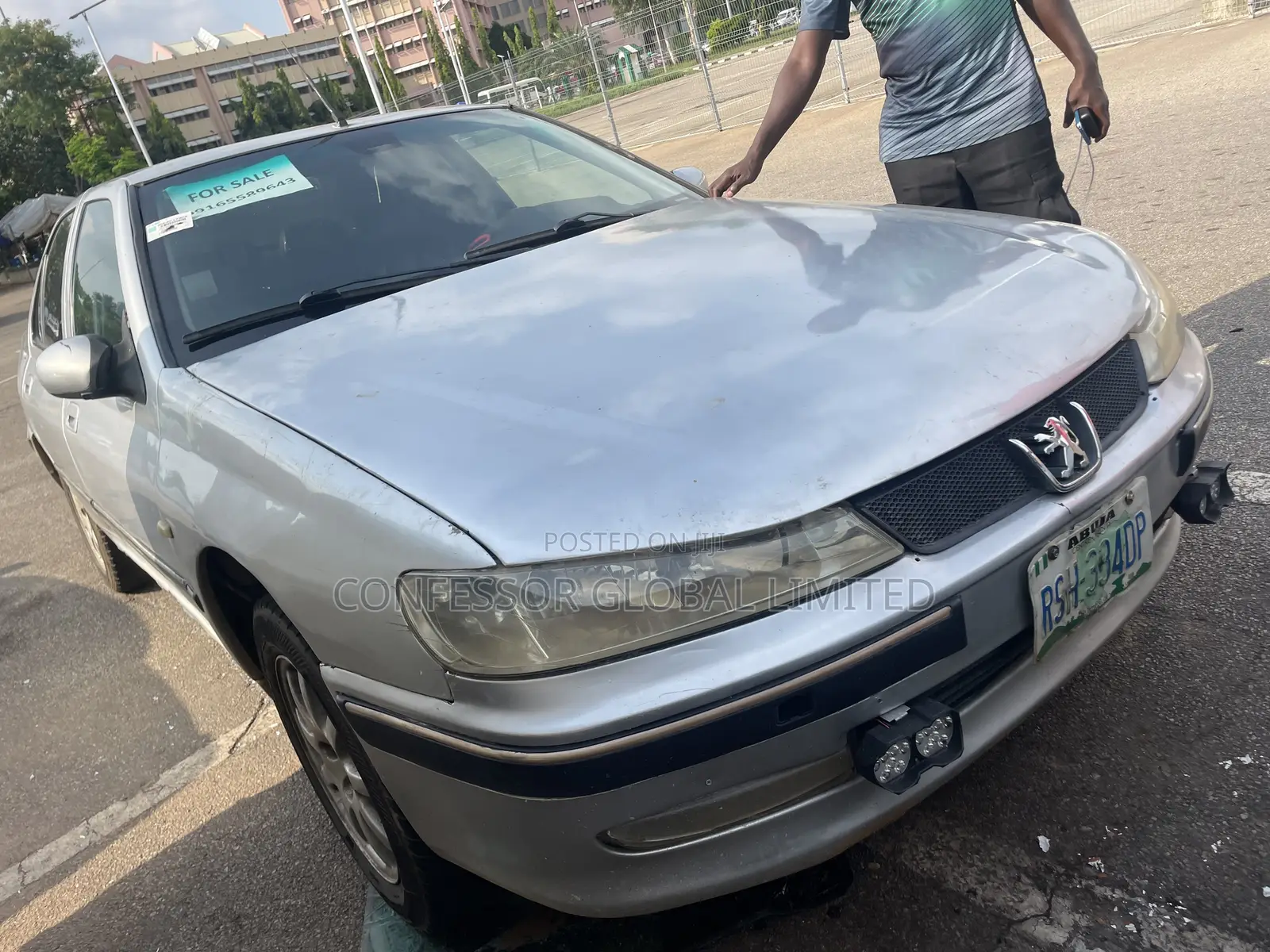 Peugeot 406 2009 Silver