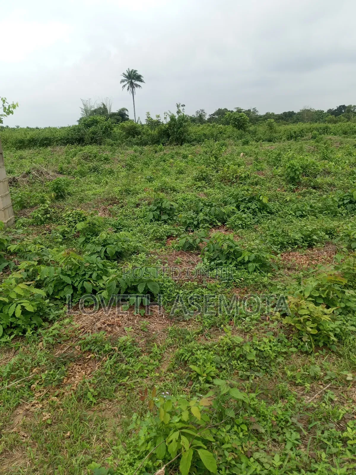 Land for Sale in Ibeju Lekki – Casabela Coastal City | 300SQM & 500SQM