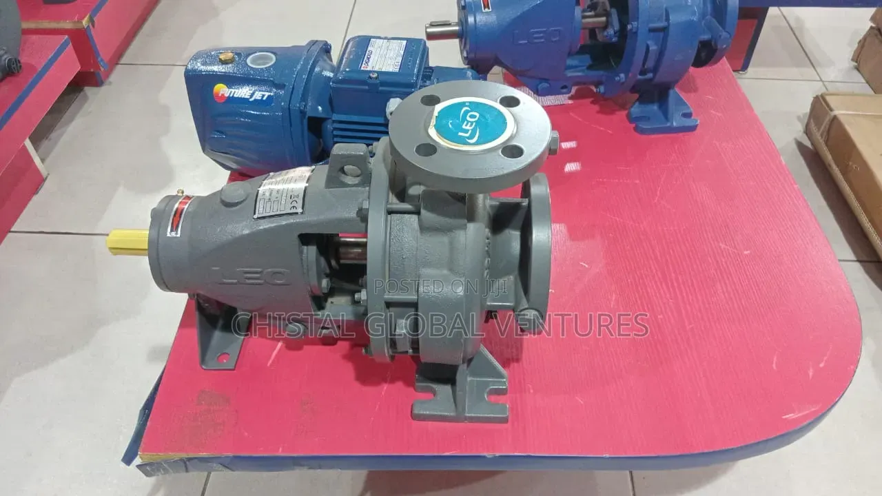 LEO Bare Shaft End Suction Centrifugal Pump (Cast Iron / Heavy Duty)