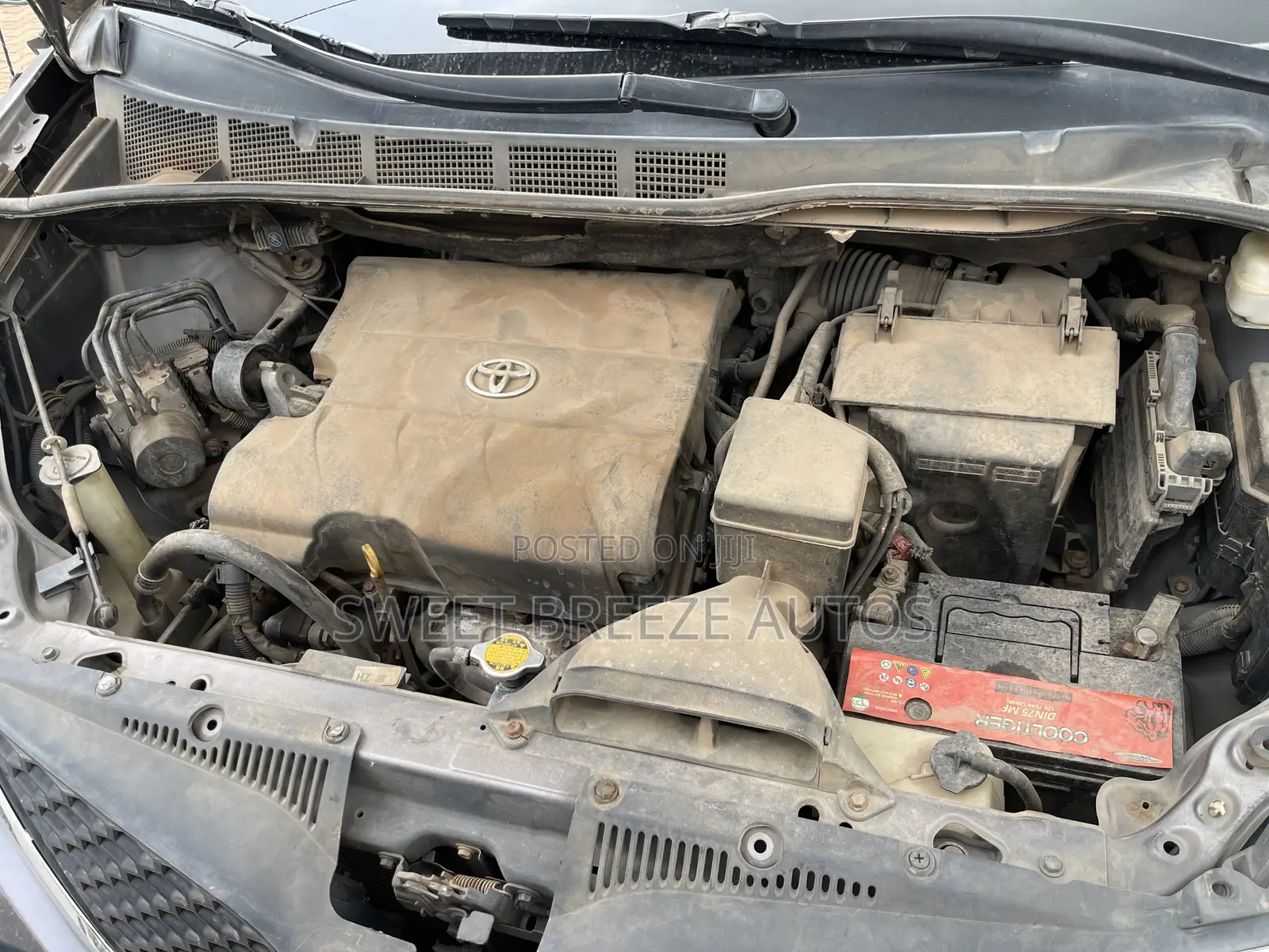 Toyota Sienna SE FWD 8-Passenger 2013 Gray